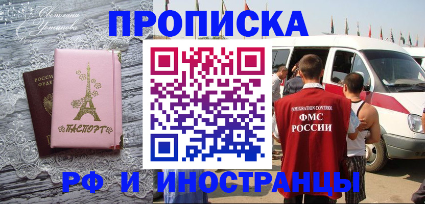 прописка поиск в Павловске