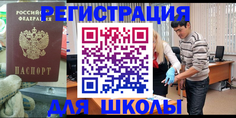 временная регистрация поиск в Павловске